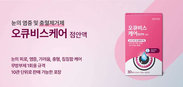 메인 비주얼